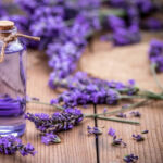 Lavender-essential-oil-3
