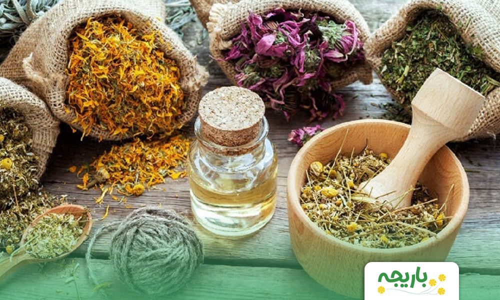 A-perspective-on-person-centered-medicine-in-Iranian-medicine-(Iranian-traditional-medicine)-2