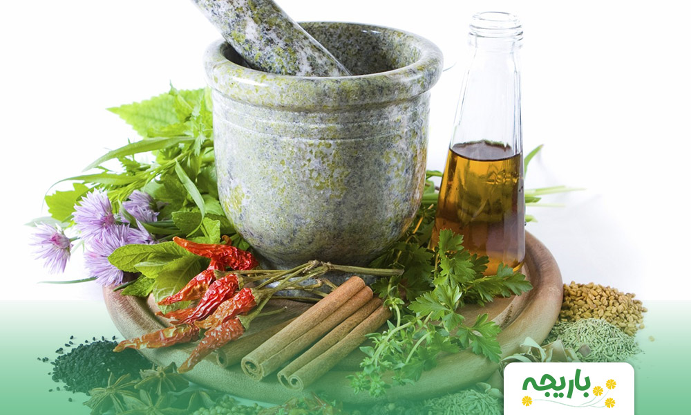 A-perspective-on-person-centered-medicine-in-Iranian-medicine-(Iranian-traditional-medicine)-4
