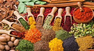 A-review-of-the-medicinal-properties-of-dye-plants