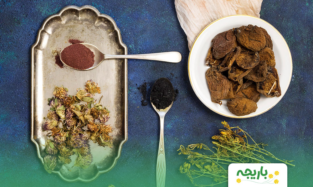 All-you-need-to-know-about-traditional-medicine-2
