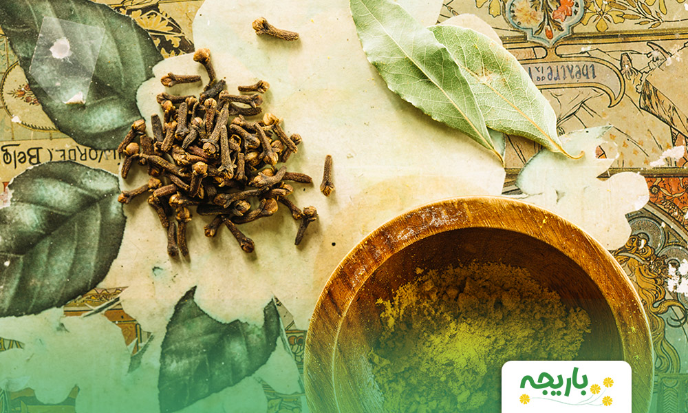 All-you-need-to-know-about-traditional-medicine-4