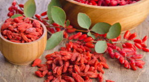 Benefits-of-Iranian-barberry