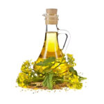 Fennel-oil,-nicknamed-ladies'-oil