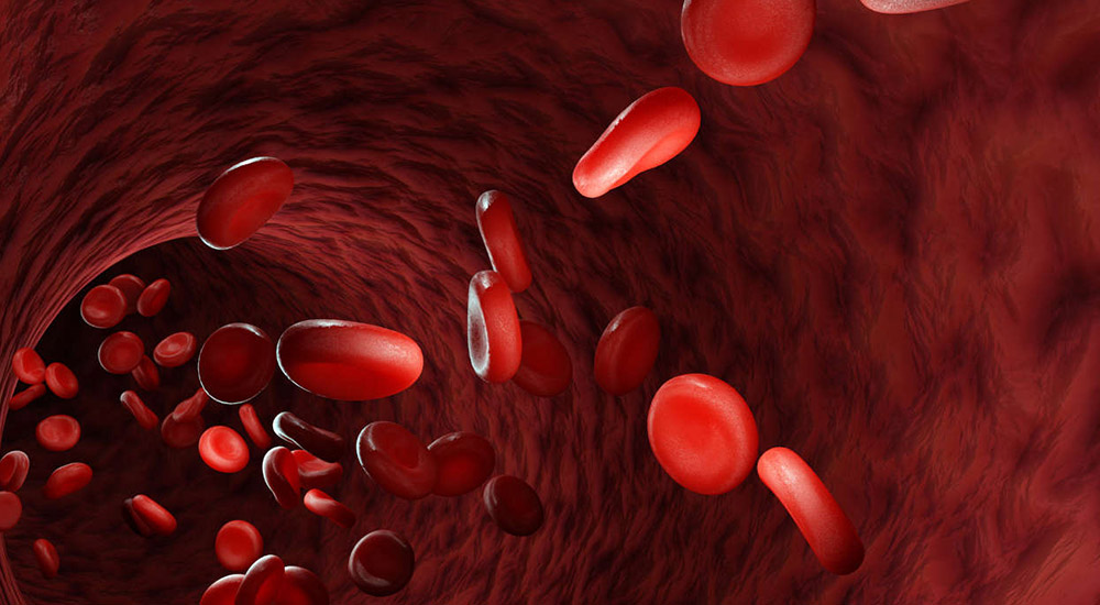 Investigating-anemia-disease-and-its-treatment-with-emphasis-on-the-use-of-medicinal-plants