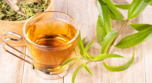 Investigating-the-chemical-composition-of-lemon-plant-essential-oil