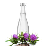 Milk-thistle,-healing-drink-for-liver-and-health