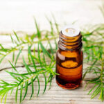 Tea-tree-oil