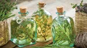 The-effect-of-this-plant-(Terrestris-Tribulus)-on-female-sexual-dysfunction