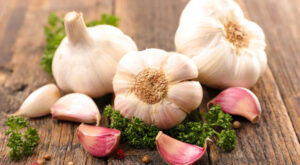 garlic-plant