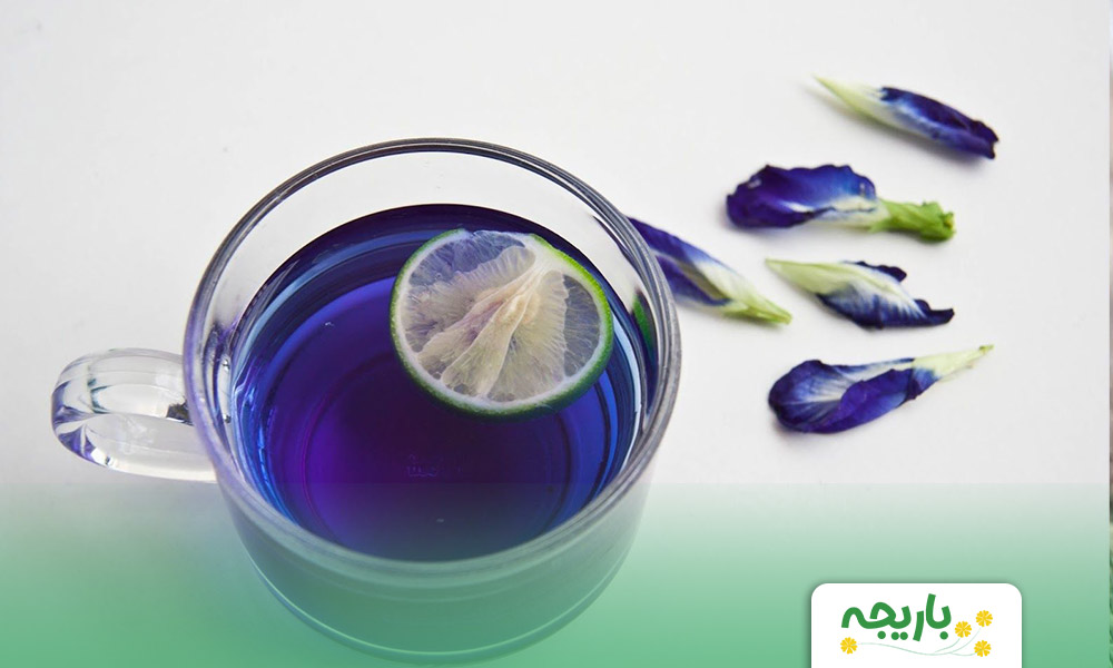 Borage-flower-tea