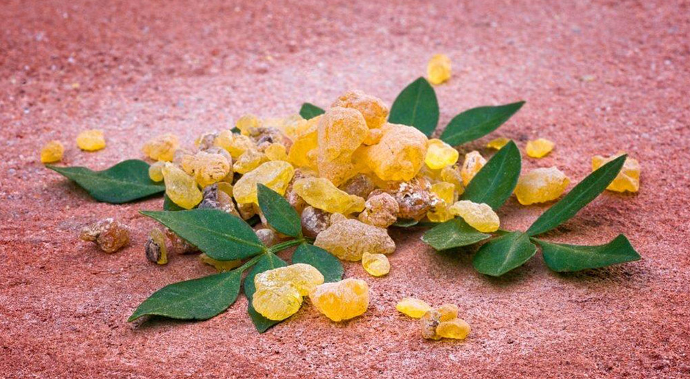 Boswellia-cover