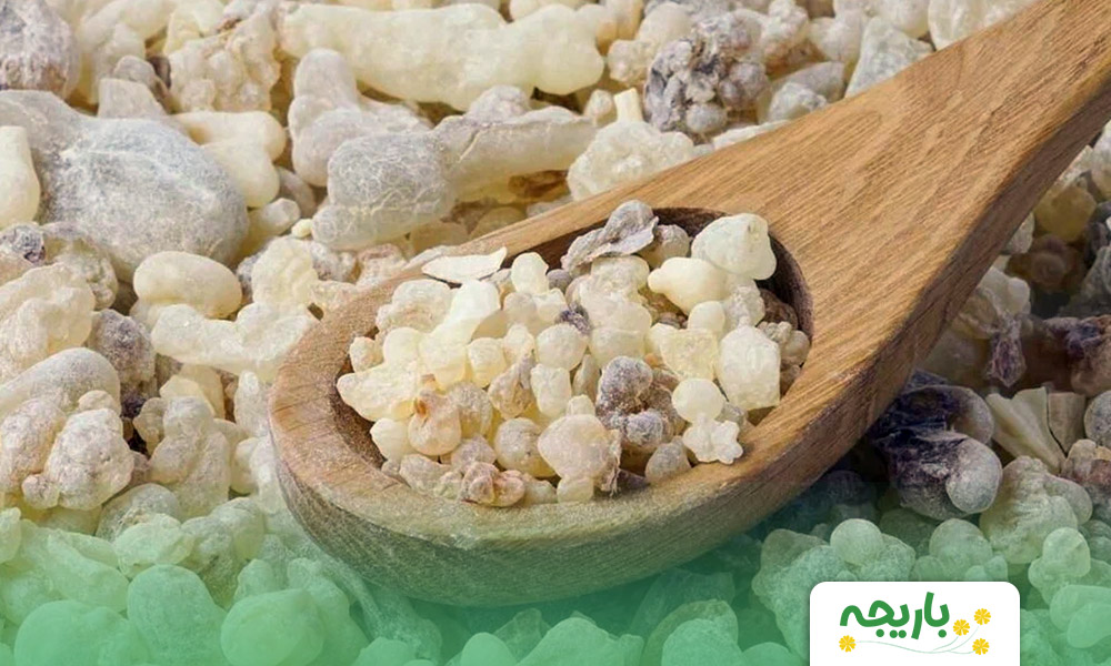 Boswellia-use
