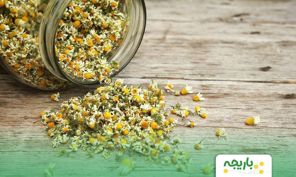 Chamomile-tea