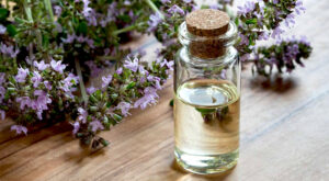 Thyme-extract-main