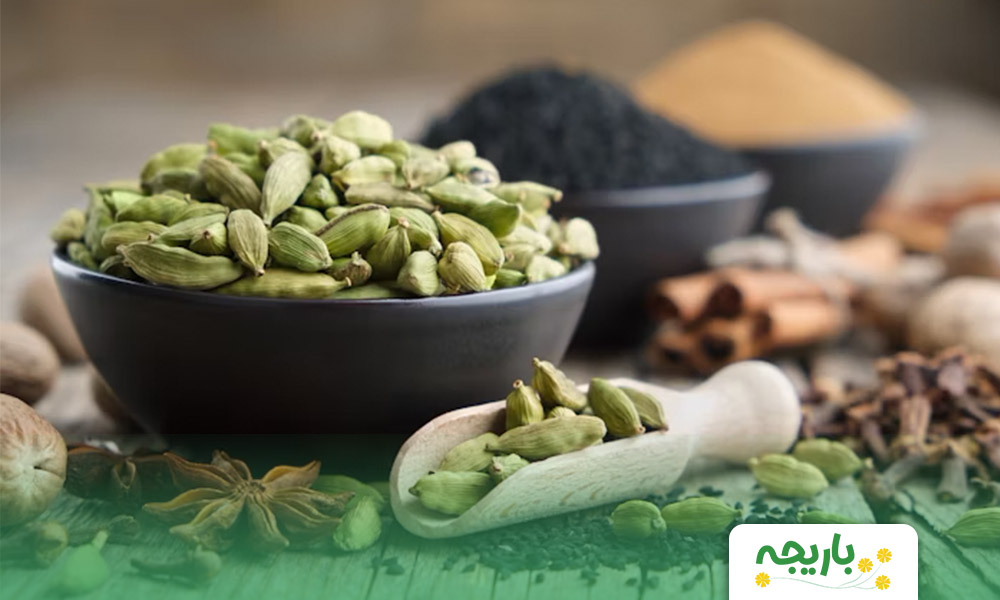 Cardamom-extract-2