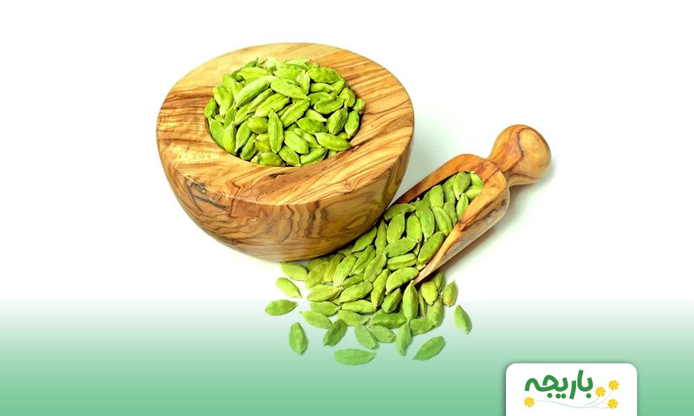 Cardamom-extract-3