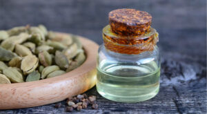 Cardamom-extract-main