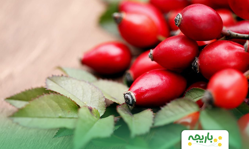 Rosehip-hydrosol-2