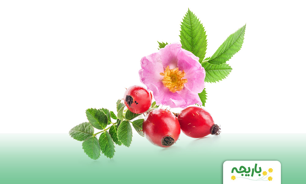 Rosehip-hydrosol-3