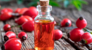 Rosehip-hydrosol-main
