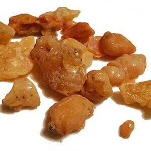 آنغوزه خراسان